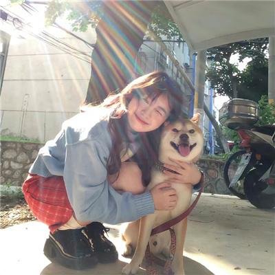 志愿军:浴血和平